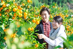口コミ・評判から見える婚活バスツアーのメリット紹介画像