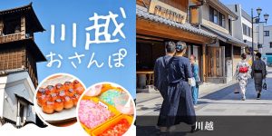 IBJ Matching(旧 PARTY PARTY)の川越お散歩コン紹介画像