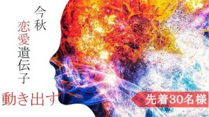 女性限定!ノッツェの恋する遺伝子キャンペーン紹介画像