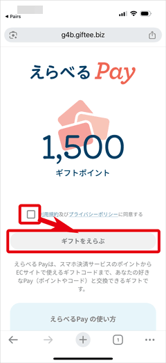 えらべるPayの規約への同意とギフトをえらぶボタン画面